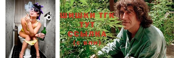 тгк Володарск