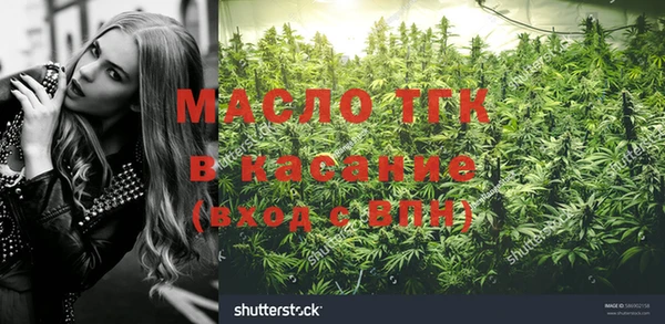 тгк Володарск